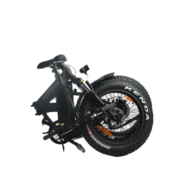 CE grasso neve pneumatico a velocità variabile bicicletta elettrica 36v 250w Design E-bike Sg batteria al litio personalizzata OEM LCD