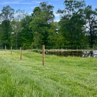 Fournisseur de clôtures agricoles rurales économiques, panneaux de clôture pour chèvres et bétail en fil galvanisé à chaud de 1,2 m, 1,5 m, 1,8 m, 50 m pour ferme