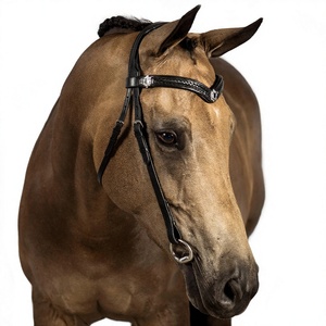 Premium Handmade Leather Horse Browband Padded English Bridle Crystal Durable <b>Equestrian</b> Horse Tack - Product Image 1