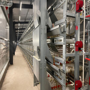 <span class=keywords><strong>Kenya</strong></span>'da Ev ve Çiftlik Kullanımı İçin 90-200 Kapasiteli Yeni Demir Otomasyonlu H Tipi Tavuk ve Bıldırcın Kafesi QM Marka 1 Yıl Garantili - Product Image 2