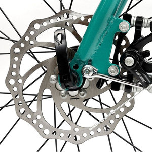 Nueva Bicicleta Plegable Urbana Clásica para Dama 2023, 20 Pulgadas, Vintage, 12 Velocidades, Cuadro de Acero, Frenos de Disco, Pago Inteligente Xsd-01 Classic Lady City - Product Image 3