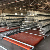Jaula para pollos de tipo A con niveles escalonados, de alambre de zinc, aluminio y magnesio, gallinero de capacidad personalizada para granjas avícolas en África