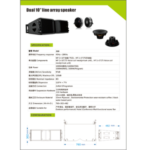 Sistema Audio Professionale L210 con Doppio Altoparlante da 10 Pollici, DSP e Alimentazione Integrata per Sale - Product Image 6