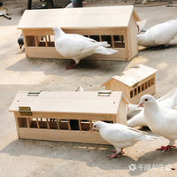 Mangeoire à pigeons en bois écologique grande capacité, 14 trous, distributeur manuel de nourriture pour oiseaux pour poulailler extérieur