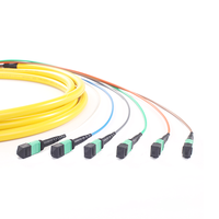 Câble Trunk MPO MTP Monomode OS2 Multimode OM3 OM4 8, 12, 24, 48 Fibres pour Communication 5G