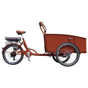 Ebike Orange cargo bike 3 wheels electric tricycles cargo bike color customized electric bike