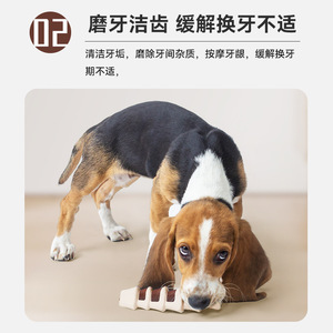 Juguete Masticable Resistente y Realista con Forma de Hueso para Perros Grandes, Serie Dentista, Juguete para la Dentición - Product Image 4