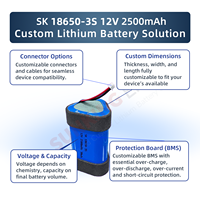 Batterie au lithium rechargeable SUNKING de qualité A, 12V 2500mAh, 500 cycles, à décharge élevée, pour pistolet de massage et gonfleur de voiture – Vente directe usine