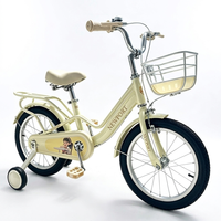 SY Vélo de Montagne Traditionnel 12 Varon Cadre en Acier Une Vitesse pour Sport en Plein Air Fabricant Grossiste