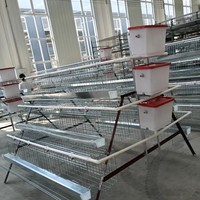 Cage à oiseaux télécommandée pour l'élevage de canaris et de poulets