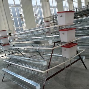 <span class=keywords><strong>กรง</strong></span>สัตว์ควบคุมระยะไกล <span class=keywords><strong>กรง</strong></span>เลี้ยงนกคีรีบูน <span class=keywords><strong>กรง</strong></span>เลี้ยงไก่ - Product Image 5