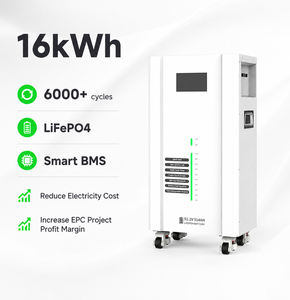 Home <b>Battery</b> Energy Storage System 16kWh 51.2V Solar <b>Backup</b> Power for Off Grid House Emergency Power Supply - Product Image 2