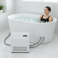 Refroidisseur d'eau pour bain froid 1/3HP 1/2HP, bain de glace pour la récupération des athlètes, refroidisseur de bain de glace avec filtre 110V 220V