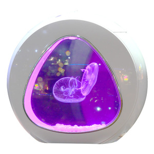 Acquario in Acrilico con Illuminazione LED Sfumata, Piccola Vasca per Pesci Fai-da-Te per Casa e Ufficio - Product Image 5