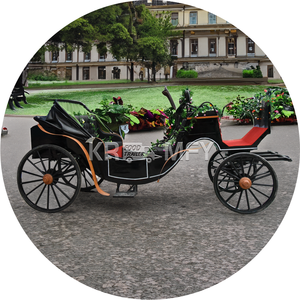 Venta al por mayor de lujo de cuatro ruedas Royal Electric Carriage Elegant Sightseeing Royal Horse Carriage-Transporte especial - Product Image 3