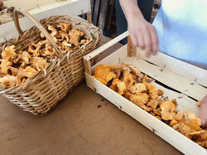 Rebozuelos Champiñones en Aceite De Oliva 270G - Product Image 2