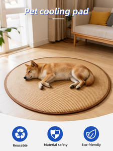 Tapis d'apprentissage réutilisables pour chiots à <span class=keywords><strong>prix</strong></span> abordable – Meilleures ventes - Product Image 2