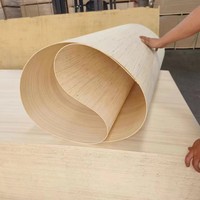 Contreplaqué en bois de Paulownia de 2 mm à 18 mm, écologique, de première qualité, certifié CE/E1, moderne, garantie 1 an, résistant à l'eau