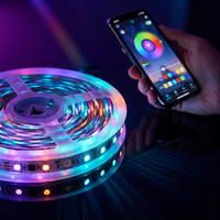 SXZM Bande LED RGB adressable 12V WS2811 5M 300 LED 5050 Couleurs Magiques Numériques Programmables Étanche 16703 IC Tiras LED