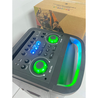 Système de karaoké 150W avec 2 haut-parleurs de basses de 12 pouces + tweeter, lumière RGB Bluetooth, microphone XLR/RCA/USB, enceinte audio portable en plastique