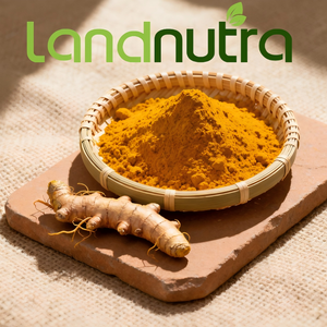 Pasokan Pabrik Harga Terbaik Pigmen Alami Ekstrak Akar Kunyit Bubuk Kurkumin Ekstrak Kunyit Kemurnian Tinggi - Product Image 2