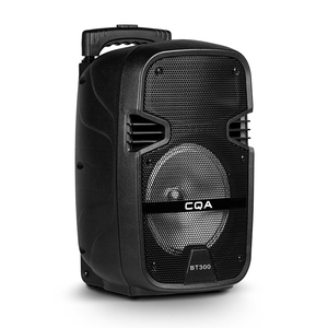 Nhà Sản Xuất CQA 8 Inch Giá Rẻ Xách Tay Không Dây BT Đảng Hoạt Động DJ Karaoke Xe Đẩy Loa - Product Image 3