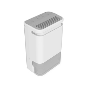 DDP Electronic <b>Dehumidifier</b> 10L Dehumidifying Capacity for Office ISO 9001 CE Certified Eco-friendly Quiet Lightweight - Product Image 4