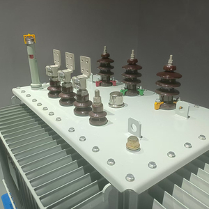 Transformador de Distribución de Energía Trifásico Sumergido en Aceite Senyao de 10000 KVA de Alta Eficiencia (98%) IEC60076 S11/S13 50/60Hz para - Product Image 6