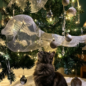 Juego de 25 Adornos Navideños Electrochapados de 4 cm, Adornos Colgantes de Cristal Brillante para Árbol, Caja de Regalo, Decoración Navideña para el Hogar, Personalización OEM - Product Image 5