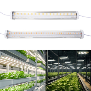 Lámpara <span class=keywords><strong>de</strong></span> Cultivo LED T20 <span class=keywords><strong>de</strong></span> Alta Eficiencia <span class=keywords><strong>para</strong></span> Cultivo Interior e Hidroponía - Product Image 6