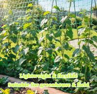 Filet de soutien pour plantes grimpantes en PE, grande quantité, prix avantageux, haute résistance, non toxique et inodore, pour concombres/tomates/haricots