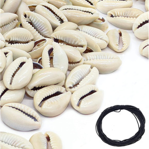 Gran oferta de conchas naturales de cauri, cuentas de concha abierta, conchas marinas de cauri para la fabricación de joyas, artesanías naturales - Product Image 5