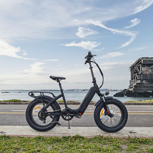 Vélo électrique tout-terrain pliable avec cadre rabattable, fournisseur OEM Chine - Product Image 2