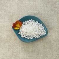 BANGZE Fertilizante de nitrógeno de alta calidad Sulfato de amonio Granular Cristal de sulfato de amonio 21%