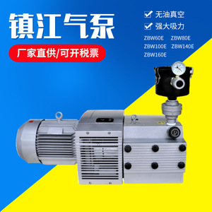 Pompe à vide rotative à une seule étape Isge ZBW80E 80m³/h, électrique, en fonte et acier inoxydable, pièces pneumatiques - Product Image 5