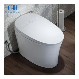 Thông minh nhà vệ sinh CHẬU VỆ SINH tankless tự động mở/đóng nắp thuôn dài kép tuôn ra một mảnh nhà vệ sinh
