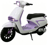 Moto de tourisme moderne YT Sportbikes à 2 roues, 1000W, 48V, moteur sans balais, vitesse maximale de 40-60 km/h