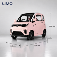 Voiture Utilitaire Électrique Compacte à Vendre : Mini-Voiture Électrique Fermée pour Adultes avec Homologation CEE COC