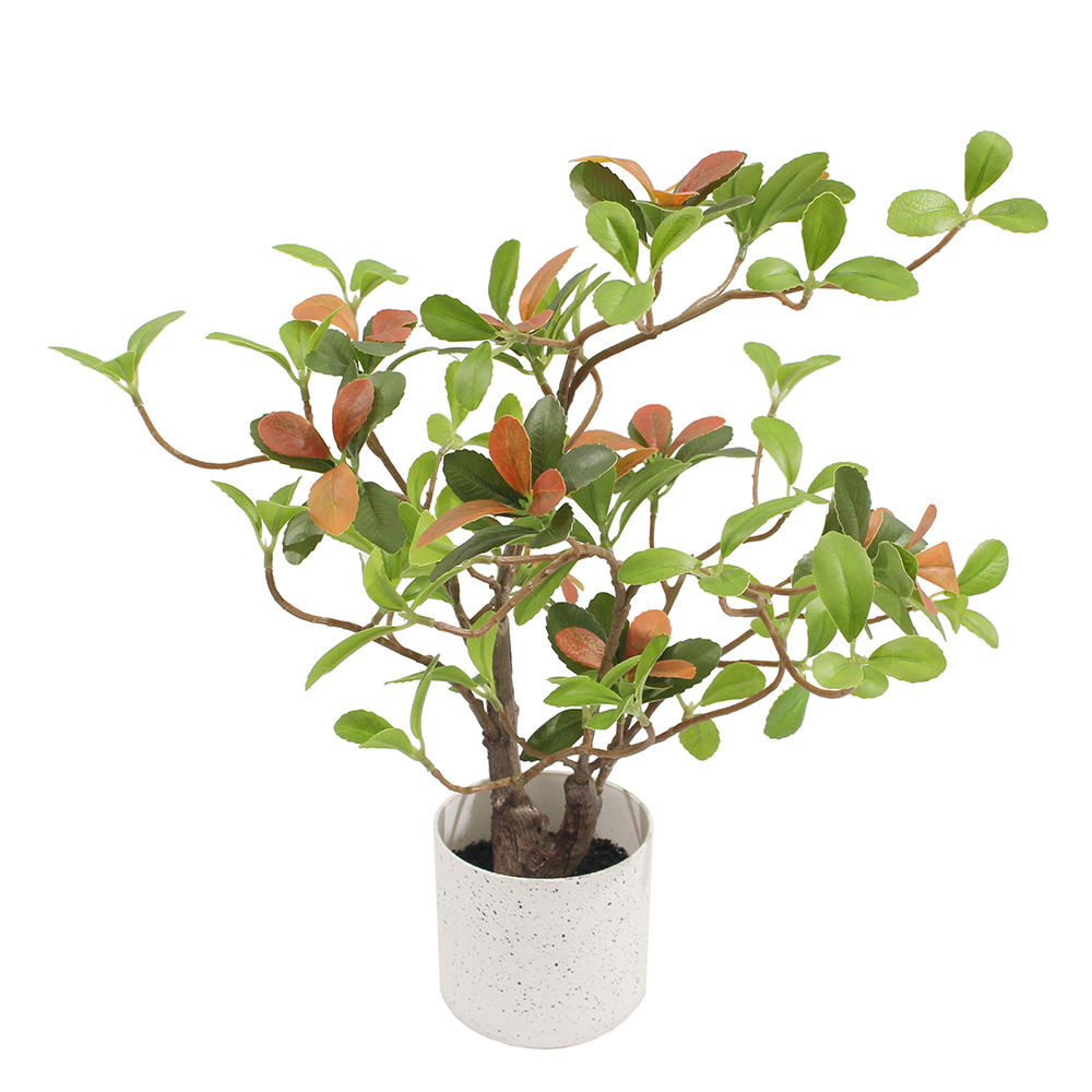 กองทัพสีเขียว