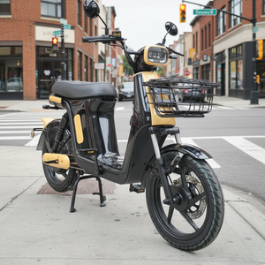 Motocicleta Eléctrica con Carga Rápida, Carga Completa <span class=keywords><strong>en</strong></span> 2 Horas, Autonomía de 60 km, Bicicleta Eléctrica para Servicio de Entrega - Product Image 1