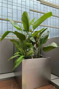 Fioriera Originale Quadrata, Rotonda, Ovale, Rettangolare in Alluminio e Acciaio Inossidabile per Esterni - Product Image 3