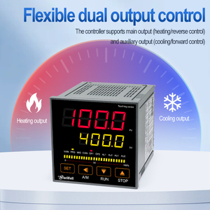Contrôleur de Température Programmable Haute Qualité à 30 Étapes avec Communication RS485 Modbus RTD, Construction Métallique, OEM/ODM - Product Image 4