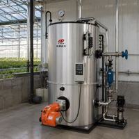 Générateur de vapeur au gaz naturel 150 kg/h 105 kW en acier inoxydable pour la pasteurisation et le traitement du lait