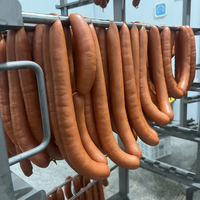 Four de fumage électrique multifonctionnel automatique pour viande, bacon, poisson, saucisses, cuisson à la vapeur et rôtissage