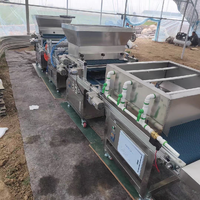 Usine vendant la machine à semer automatique de graines pour le semoir de plateau de prise de semis