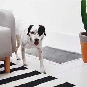 Tapis absorbants écologiques et biodégradables personnalisés IP67 étanches pour chiens et chats, avec couche en fibre de charbon de bambou et fonction anti-vibration, design tendance - Product Image 6
