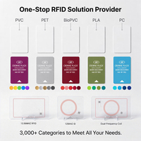 Cartes RFID vierges en PVC pour employés d'hôtel, 125 kHz, 13,56 MHz, pour contrôle d'accès aux salles, vente en gros directe usine