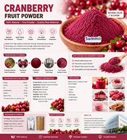 Poudre de fruits de canneberges lyophilisés naturels purs, qualité alimentaire, extrait de jus de canneberges en poudre pour boissons et compléments alimentaires