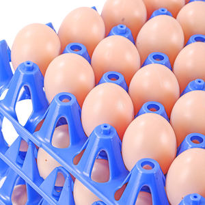ถาดวางไข่พลาสติกสำหรับขนส่งไข่ - Product Image 3