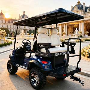 Carrito de Golf Eléctrico Estable para Subir Pendientes, con Fuerte Torque y Control de Velocidad Suave, Ideal para Resorts, Villas y Parques - Product Image 1